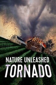 Image Nature Unleashed: Tornado