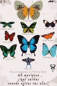 Poster Oh butterfly, what dou you dream of when you flap your wings? 2020