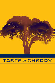 Poster Taste of Cherry 1997