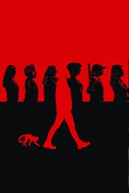 Y: The Last Man poster