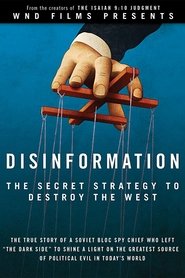 Poster Disinformation 2013