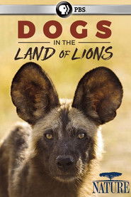 Dogs in the Land of Lions
