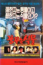 Dreaming Plant (1990)