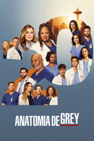 Grey’s Anatomy: Temporada 20