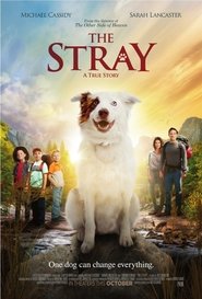 The Stray 2017 svenska röster download