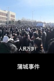 蒲城事件
