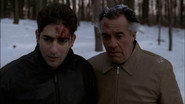 Pine Barrens
