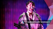 Super Furry Animals