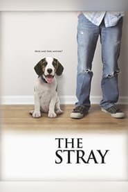 Poster The Stray 2012