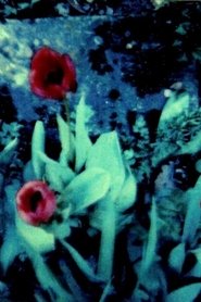 Poster Kleist 1993