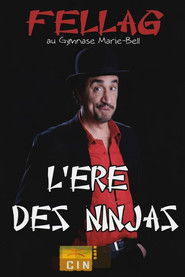 Poster L'ère des Ninjas 1970