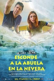 Esconde a la abuela en la nevera poster