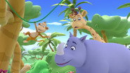 Jungle Scout Adventure / Flower Power