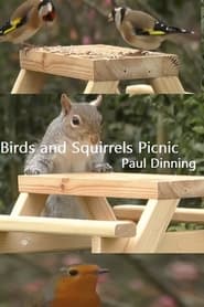 Birds and Squirrels Picnic