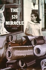 Poster The Twenty Dollar Miracle