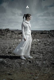 Ambition Collection collection poster