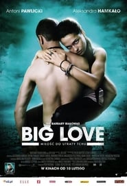 مشاهدة فيلم Big Love 2012 مترجم أون لاين بجودة عالية
