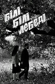 Білі, білі лебеді...