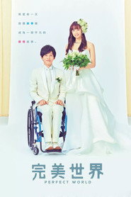 完美的世界
