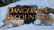 Dangerous Encounters