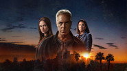 Bosch : Legacy en streaming