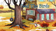 Feed the Birds