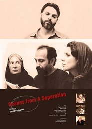 Poster for Scenes from A Separation