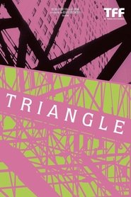 Poster Triangle 2014