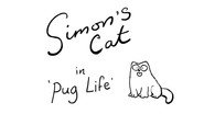 Pug Life