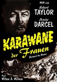 Poster Karawane der Frauen