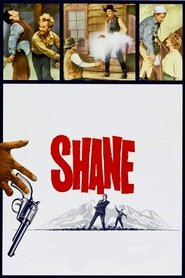 Shane