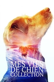 Mes Vies de Chien - Saga en streaming