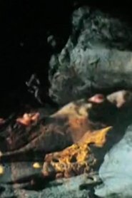 Poster Un Troupeau Se Perd Dans La Forêt Rouge 1992