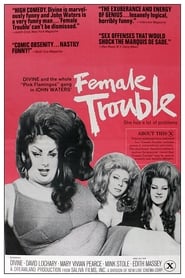 Female Trouble постер