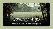 The Forest of Bere in June