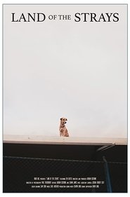Poster Land of the Strays 2018