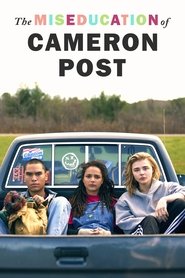 The Miseducation of Cameron Post 2018 吹き替え 動画 フル