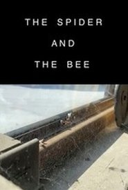 The Spider and the Bee (2020)