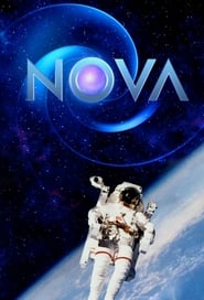 Nova постер