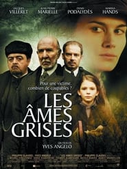 Poster Les Âmes grises