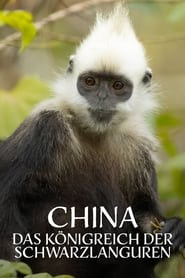 Poster China's Secret Monkey Kingdom