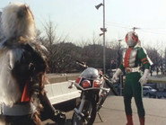 Monster Flying Squirrel Brothers and Two Riders