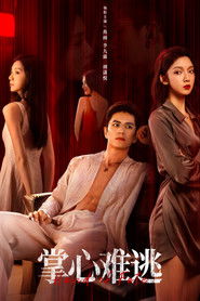 掌心难逃 (2025)