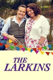 The Larkins serie en streaming 