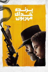 پرنده خدای مهربون (2020)