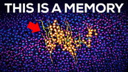 How Is a Memory Stored Inside Your Squishy Brain?
