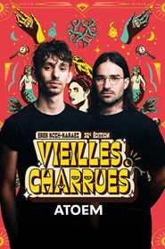 ATOEM en concert aux Vieilles Charrues 2024 (2024)