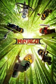 The LEGO Ninjago Movie (2017) The LEGO Ninjago Movie (2017)