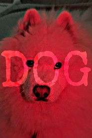 *V0W*[Mozi~HU] ? Dog � (Teljes Film Magyarul) 2020
