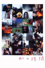 A Gap in the Skin (2005)